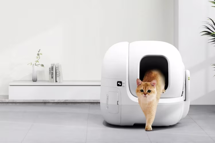 Photo d'un chat sortant d'une litière Petkit 